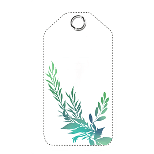 小清新植物卡片png