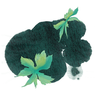 中国风水渍浸染水墨风植物