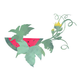 绿色植物藤蔓花朵水果西瓜png