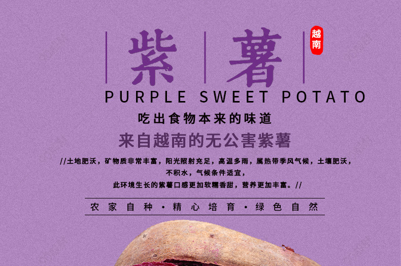 越南进口紫薯详情页产品描述页通用 