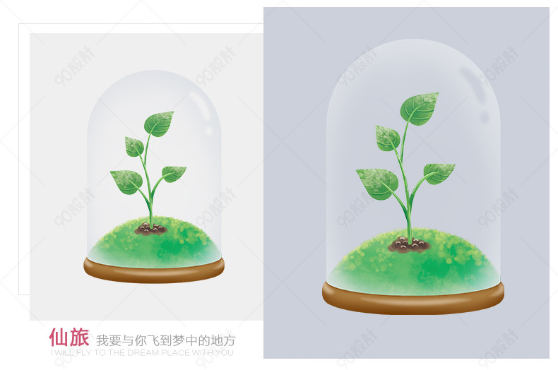 精美浪漫永生花礼盒许愿瓶详情