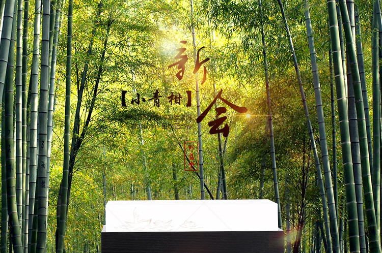 中国风橘普小青柑详情页PSD模板