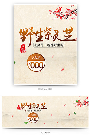 灵芝中药药材补品海报