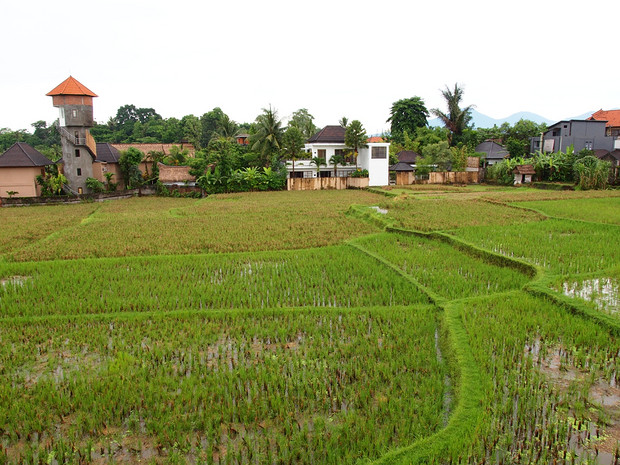 田野对面的新农村村落