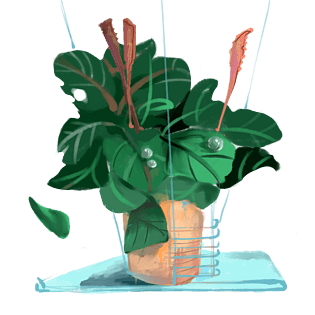 清新风格植物绿萝装饰图标pngpsd2000*2000绿萝蔓藤盆栽卡通扁平风格