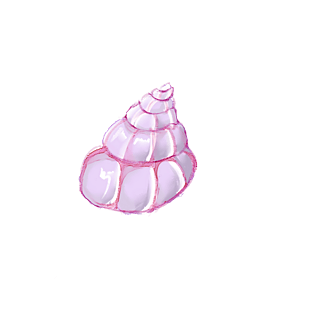 夏至水彩沙滩海螺小元素