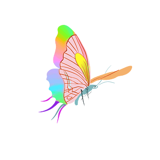 彩色蝴蝶卡通水彩系列装饰元素