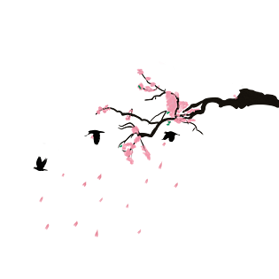 古风花瓣图片大全
