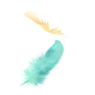 唯美水彩羽毛飘落装饰元素