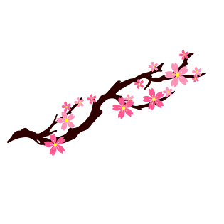 樱花树枝图片大全