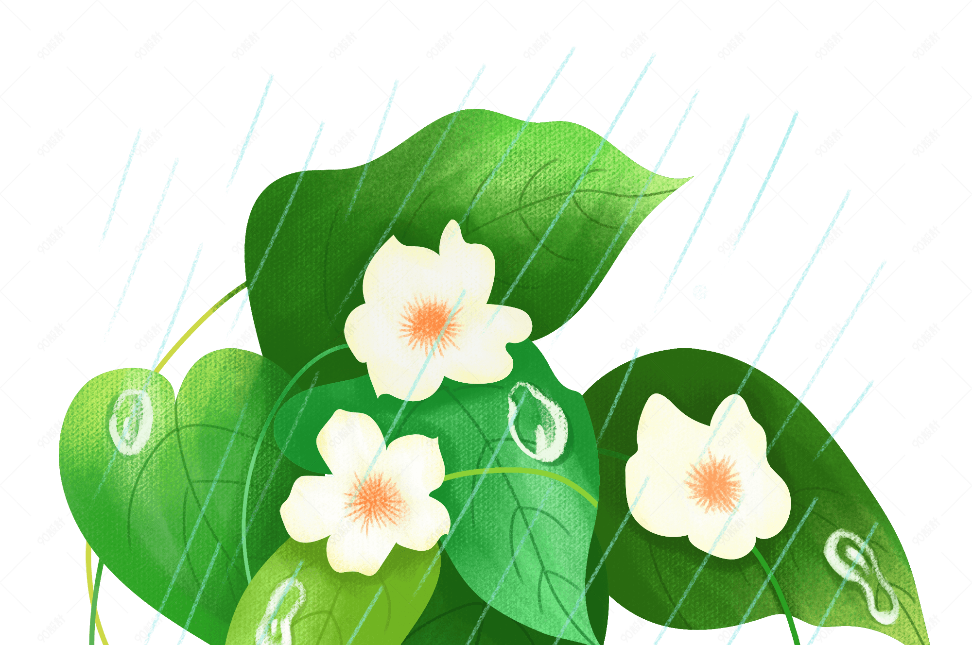 谷雨清新绿色叶子花朵雨水手绘插画