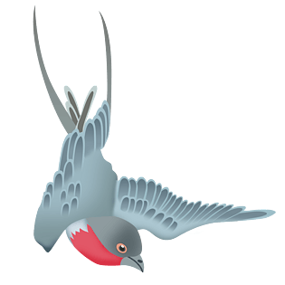 燕子卡通手绘 清明 谷雨春季素材  动物