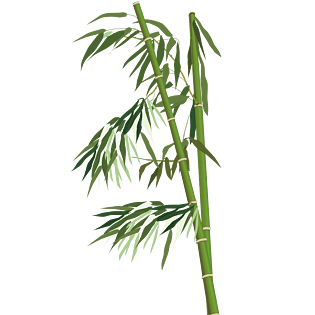 绿色竹图片大全 绿色竹图片素材 Png免费下载 90设计网