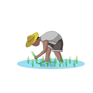 pngpsd2000*2000时尚芒种农民伯伯插秧田野南瓜稻子pngpsd2000*2000