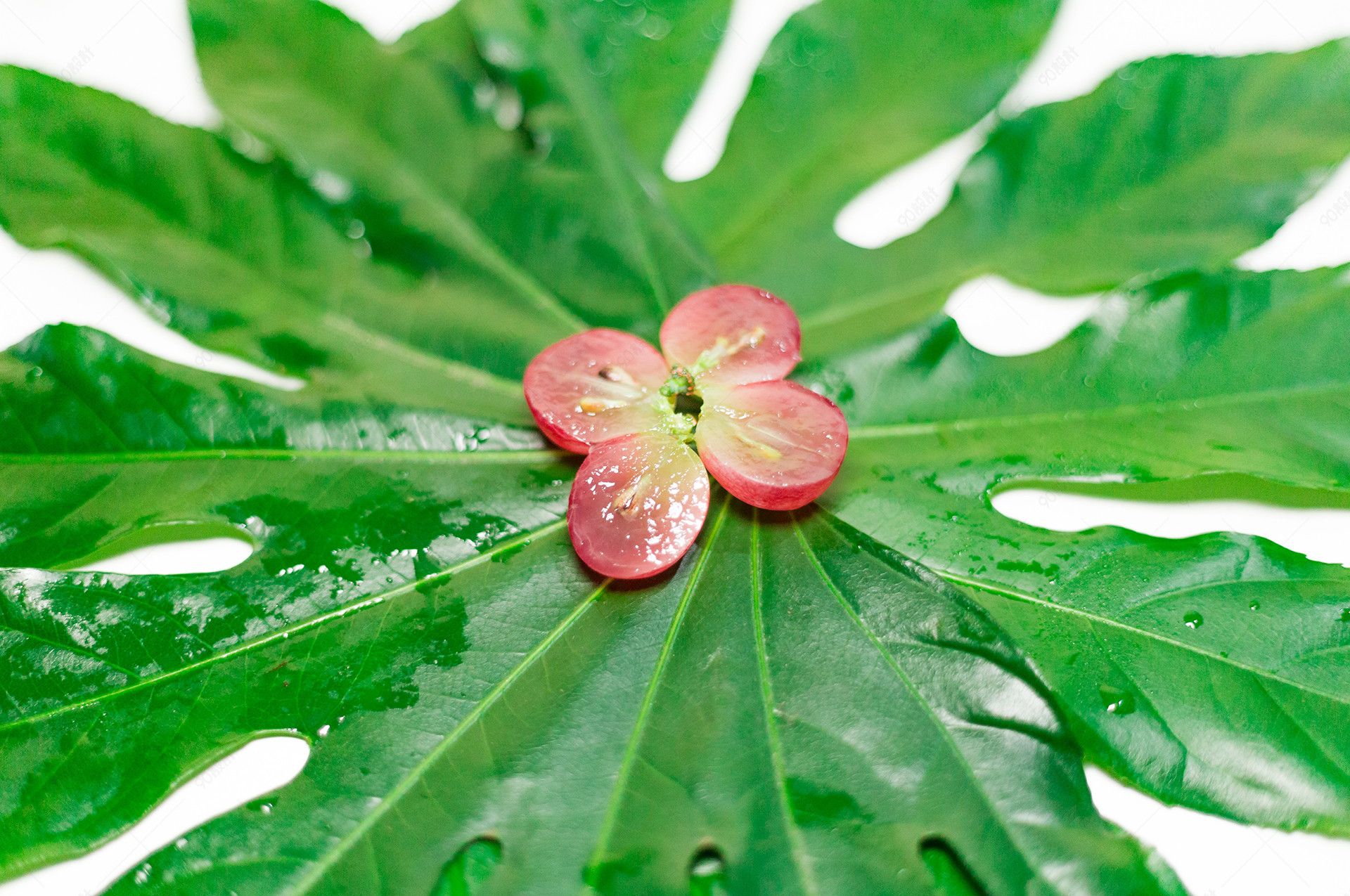 水果-红提提子素材摆拍【免抠背景psd】-90设计网