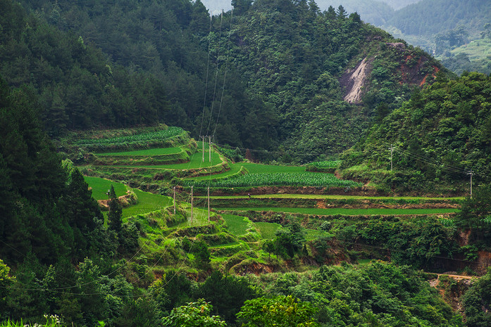 乡村自然风景生态摄影