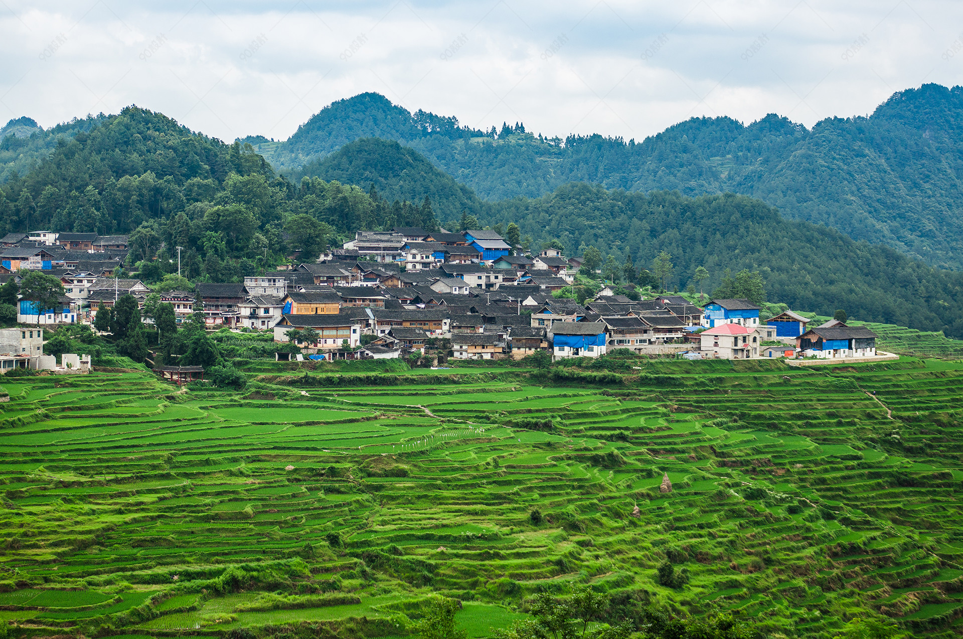 乡野梯田自然风景生态摄影