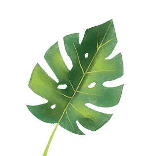 绿色树叶免扣pngpngpsd2000*2000春天漂浮树叶手绘图pngpsd2000*2000