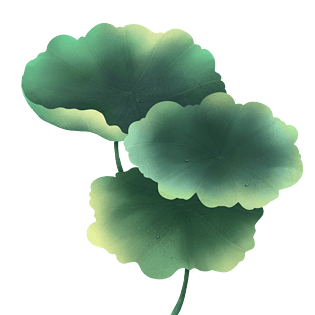 清明雨后荷叶绿色系插画露珠