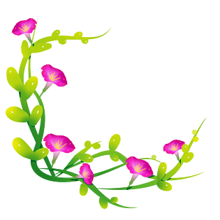 花绿色手绘牵牛花花藤png