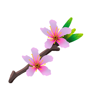 立体桃花图片大全