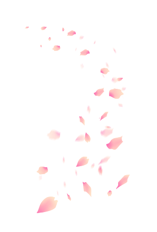 古风花瓣png图片大全