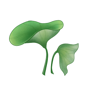 水彩悬浮装饰元素柔美渐变绿色荷叶