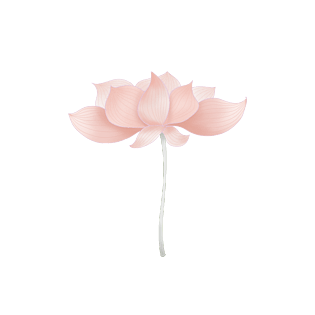 佛系禅意素雅荷花装饰元素