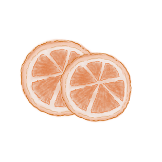 清新手绘彩铅水彩水果橙子剖面