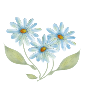 小雏菊免抠素材pngpsd2000*2000手捏花卉雏菊向日葵鲜花pngpsd2000*