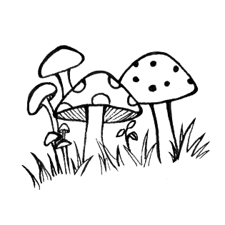 蘑菇黑白图片大全