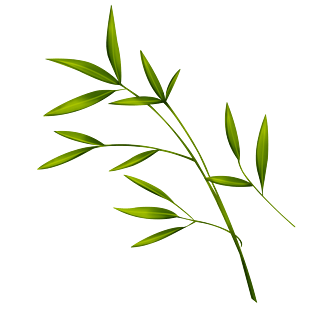 手绘竹叶免抠设计素材