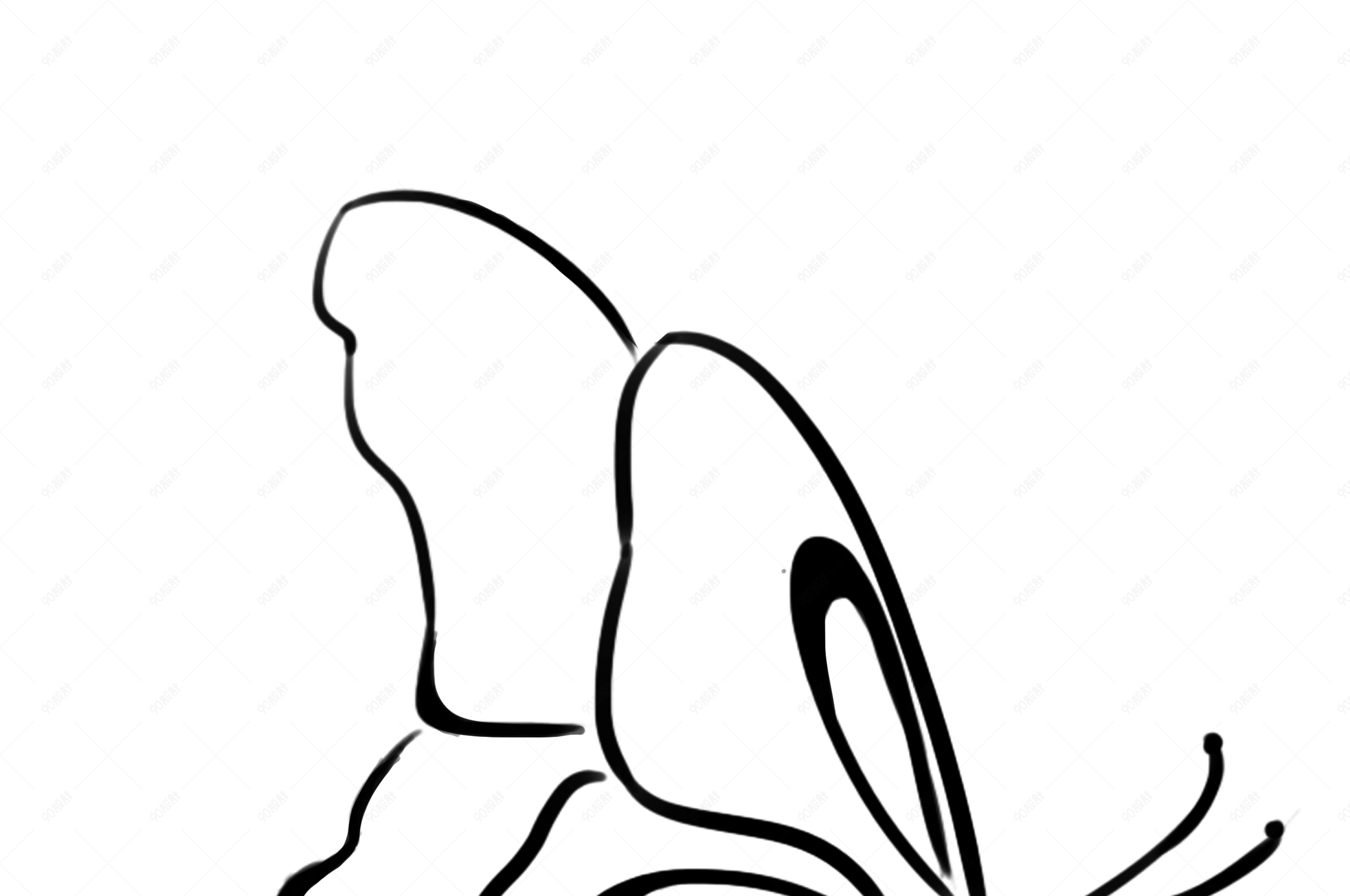 手绘黑白线条蝴蝶素材