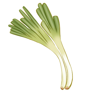 手绘卡通大葱免抠素材