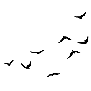 手绘飞翔鸟图片大全_手绘飞翔鸟图片素材【png免费下载】-90设计网