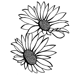 手绘黑白线条花朵素材