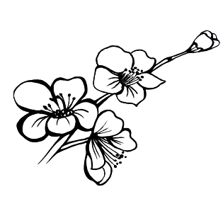 梅花黑白图片大全