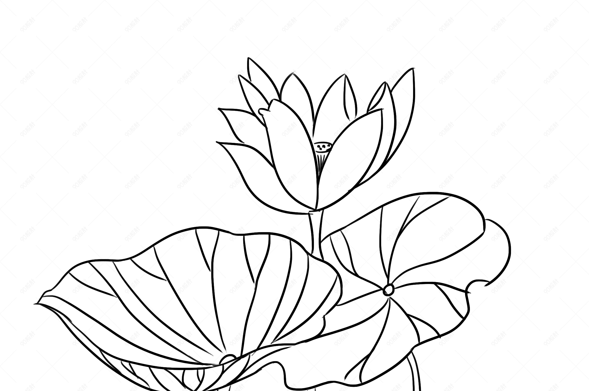 手绘黑白线条荷花元素