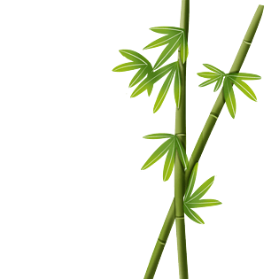 竹子叶子图片大全
