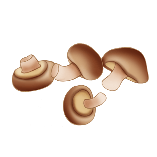 手绘卡通蔬菜香菇素材