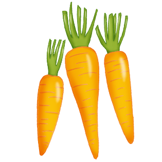 胡萝卜pngpngpsd2000*2000夏天手绘红色萝卜食物蔬菜pngpsd2000*2000