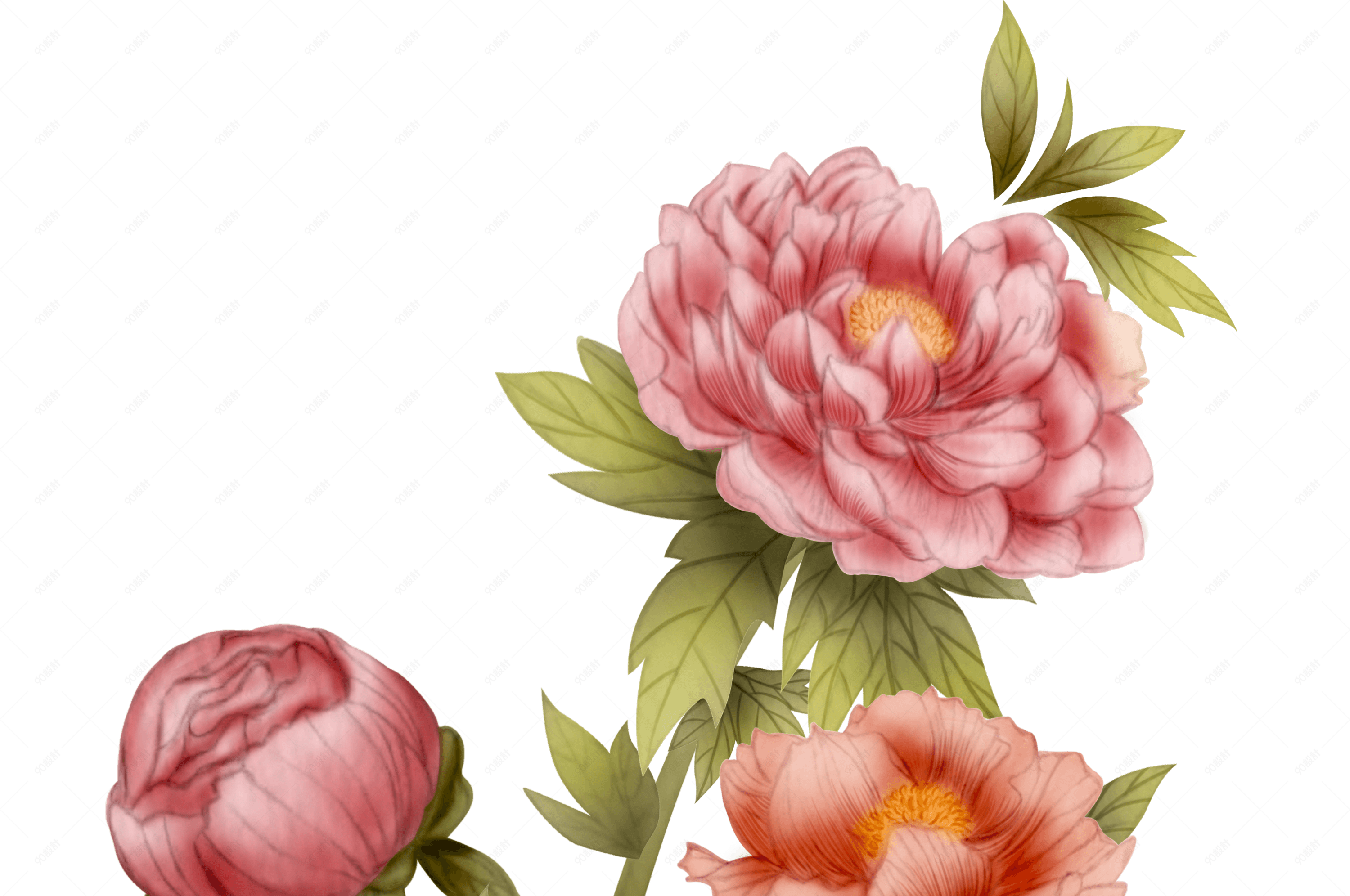 国潮风手绘花卉牡丹装饰素材