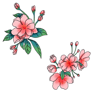 国潮风手绘植物海棠花设计素材