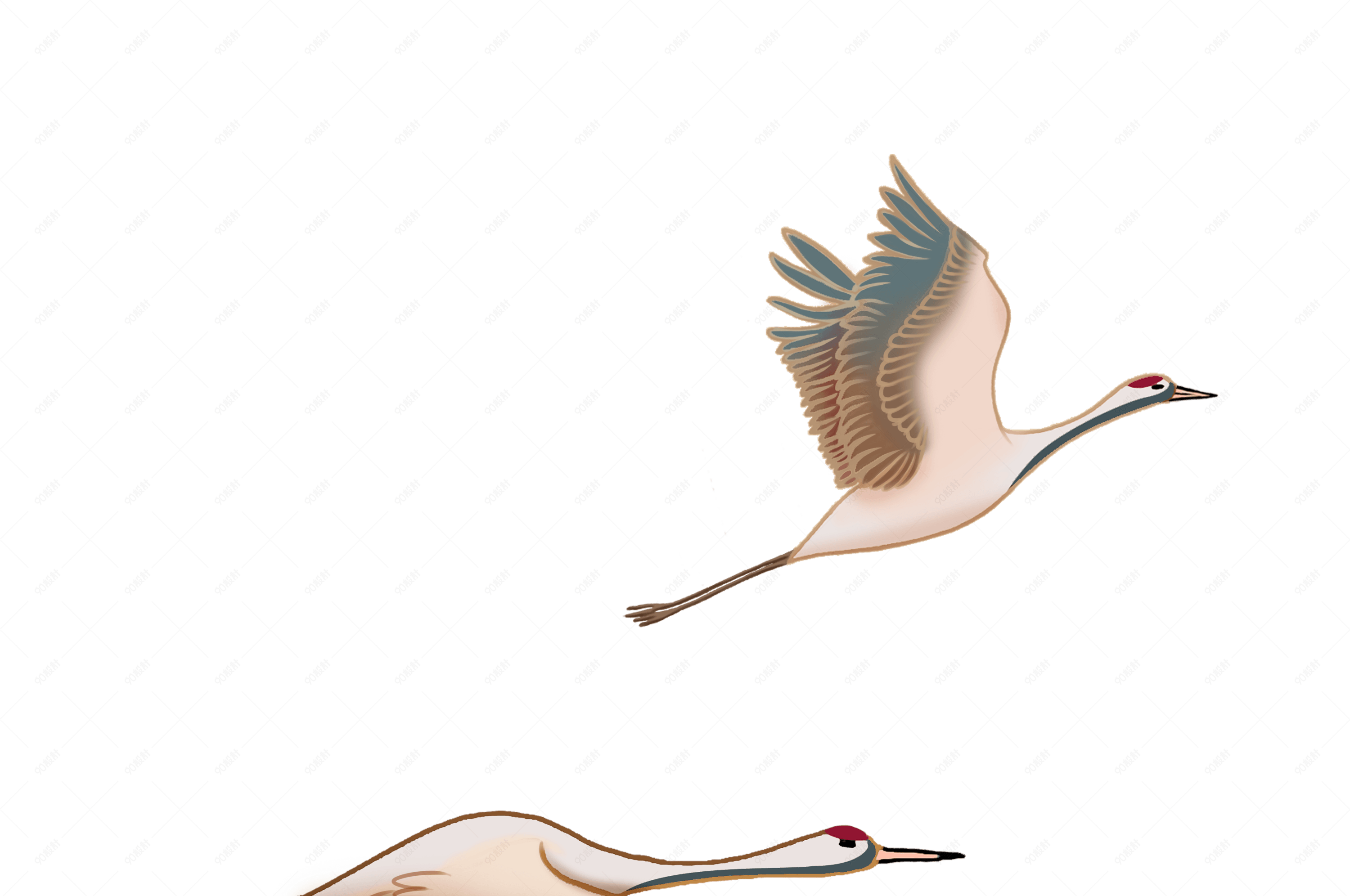 国潮风手绘仙鹤飞舞设计素材