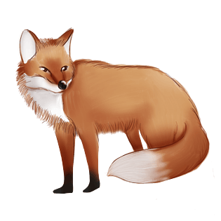 秋季手绘狐狸插画装饰元素