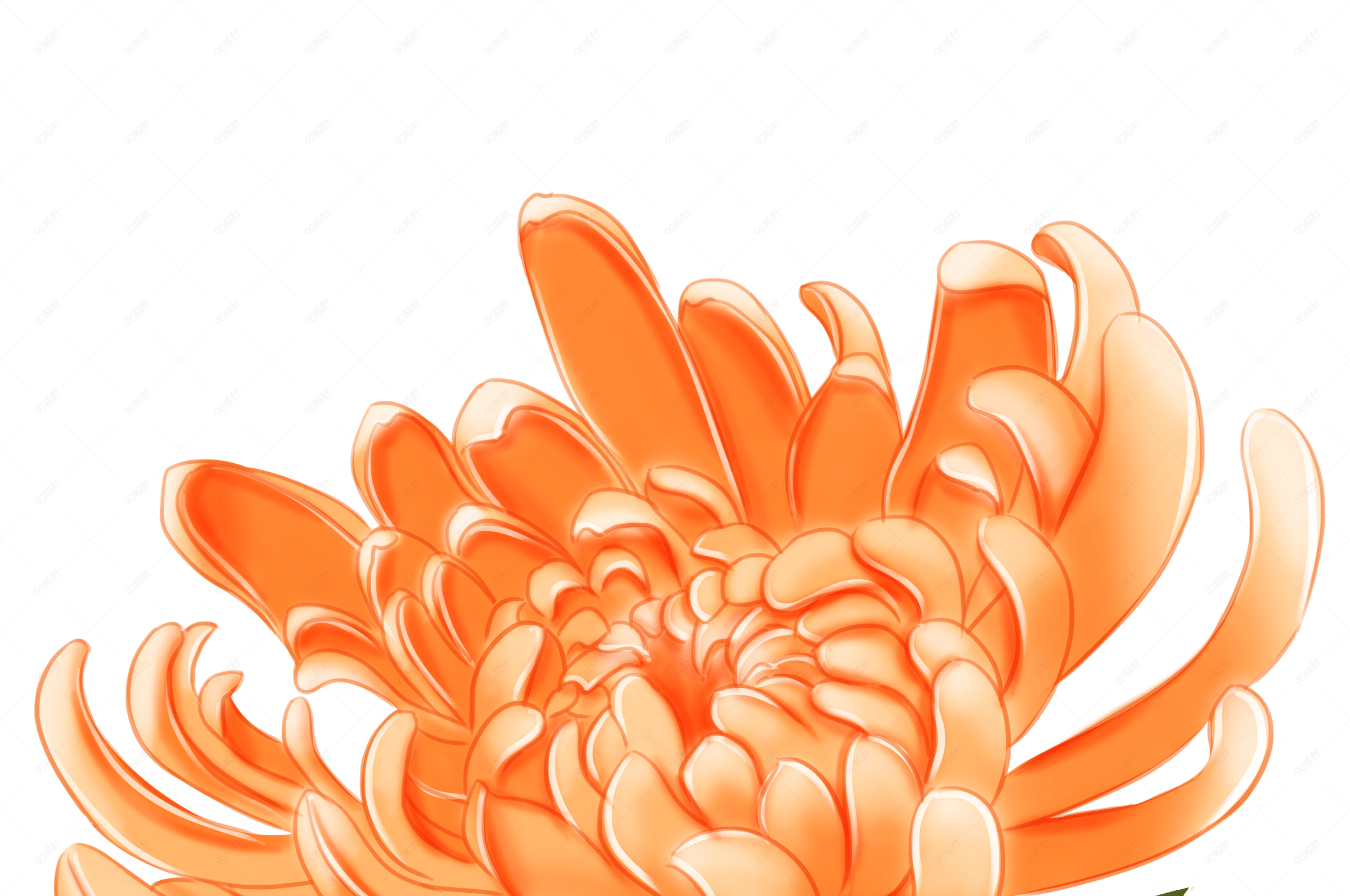 秋季菊花手绘插画装饰元素