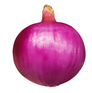 常见蔬菜水果紫色洋葱