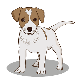 卡通狗图片大全_卡通狗图片素材【png免费下载】-90设计网