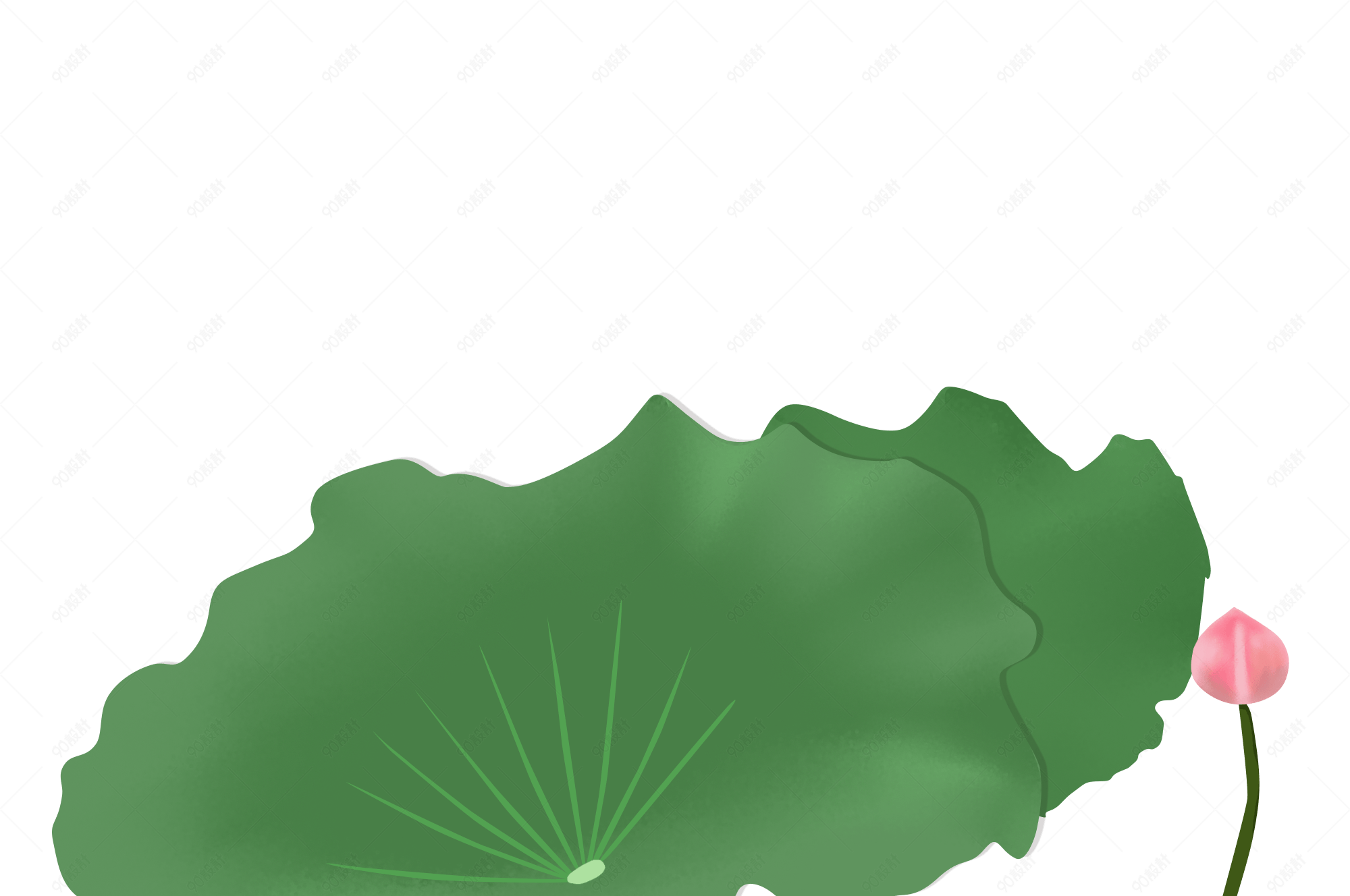 花荷花夏日出淤泥卡通手绘高清矢量