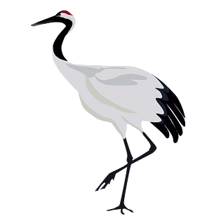 卡通仙鹤图片大全